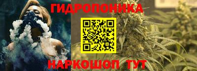 прущие грибы Нягань