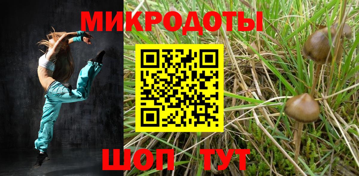 Галлюциногенные грибы Psilocybe Рузаевка