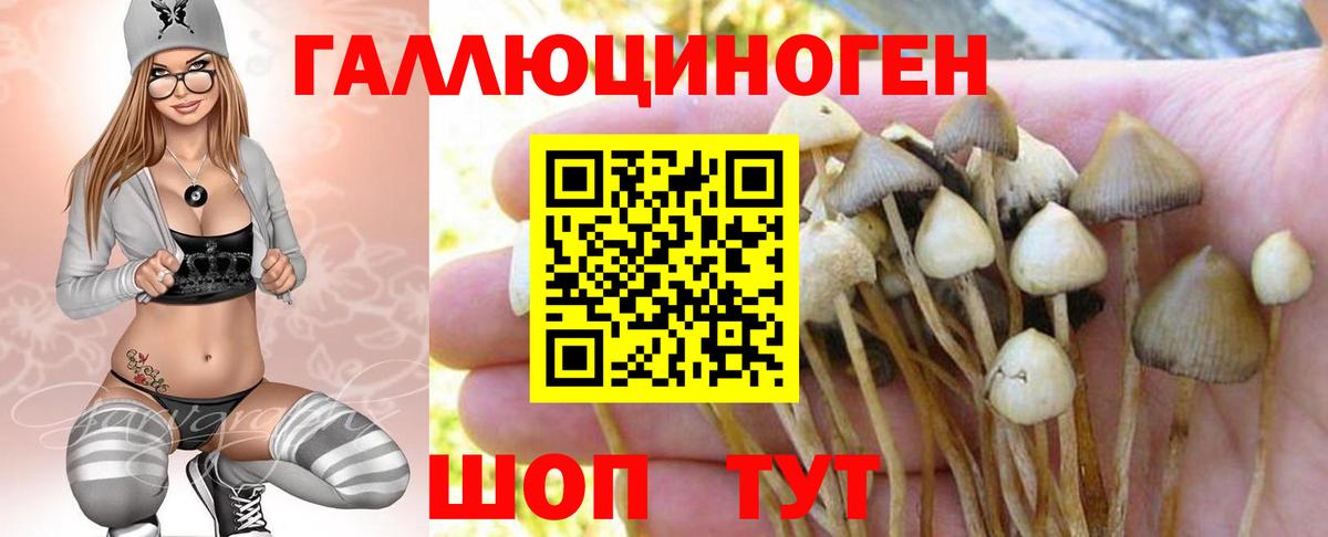 Рузаевка  Псилоцибиновые грибы Psilocybe  магазин  наркотиков  Псилоцибиновые грибы Psilocybine cubensis  Вход с VPN 